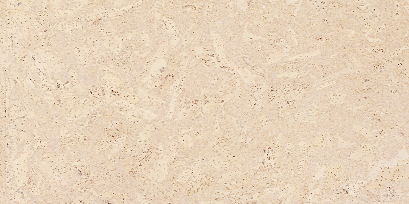 Пробковый пол клеевой Corkstyle Eco Cork Madeira Creme 915×305×6